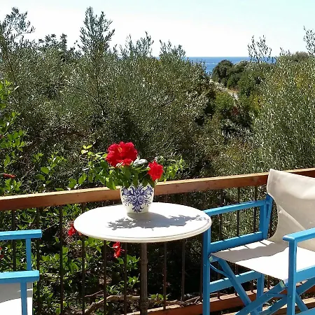 Gasthof Olive Tree