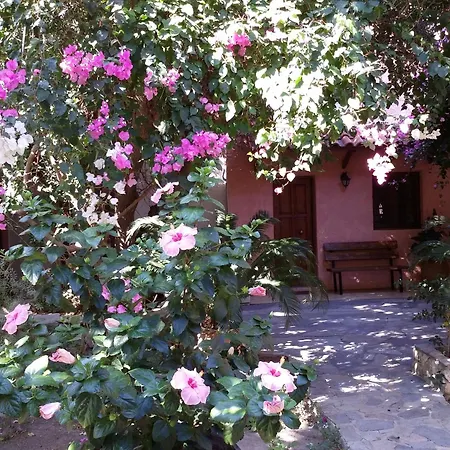 Gasthof Olive Tree Paleochora