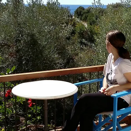 Gasthof Olive Tree