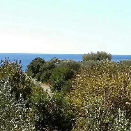 Olive Tree Gasthof