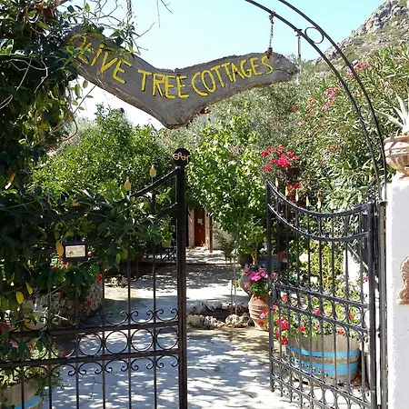 Gasthof Olive Tree *